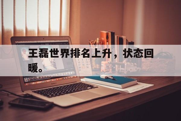 浩瀚体育电竞官方入口-王磊世界排名上升，状态回暖。