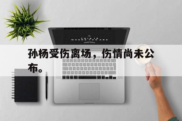 浩瀚体育电竞官网注册-孙杨受伤离场，伤情尚未公布。