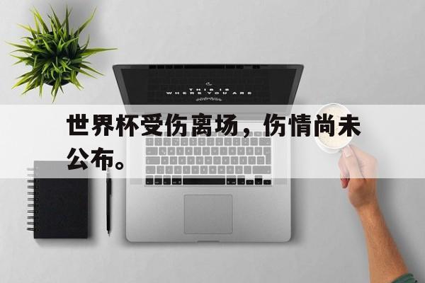 浩瀚体育电竞app-世界杯受伤离场，伤情尚未公布。