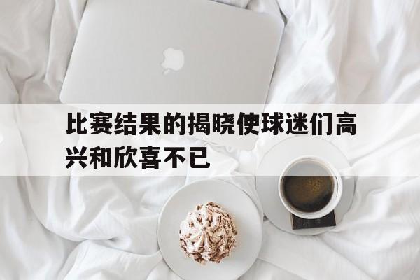 比赛结果的揭晓使球迷们高兴和欣喜不已